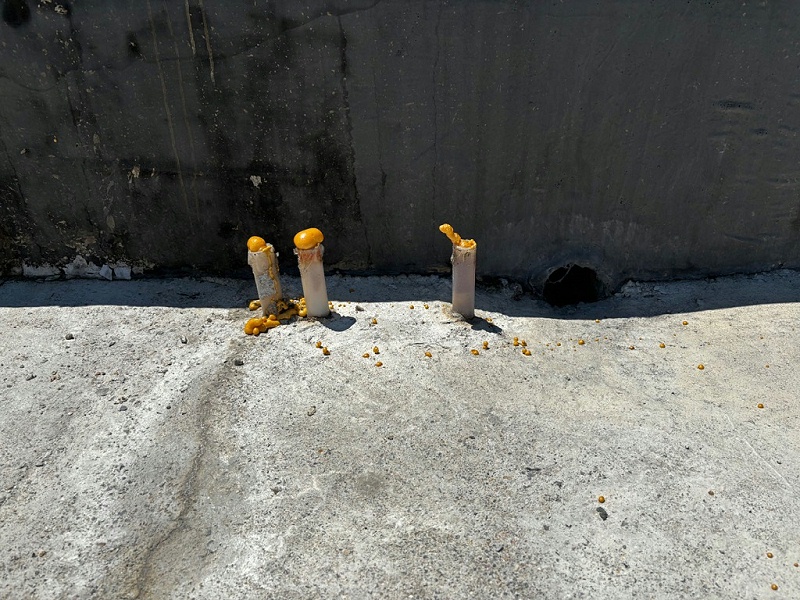 灌漿料應(yīng)用領(lǐng)域,灌漿料工程案例,灌漿料應(yīng)用